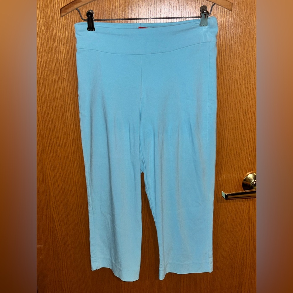 Krazy Larry Pull On Ankle Capri Pants Size 2